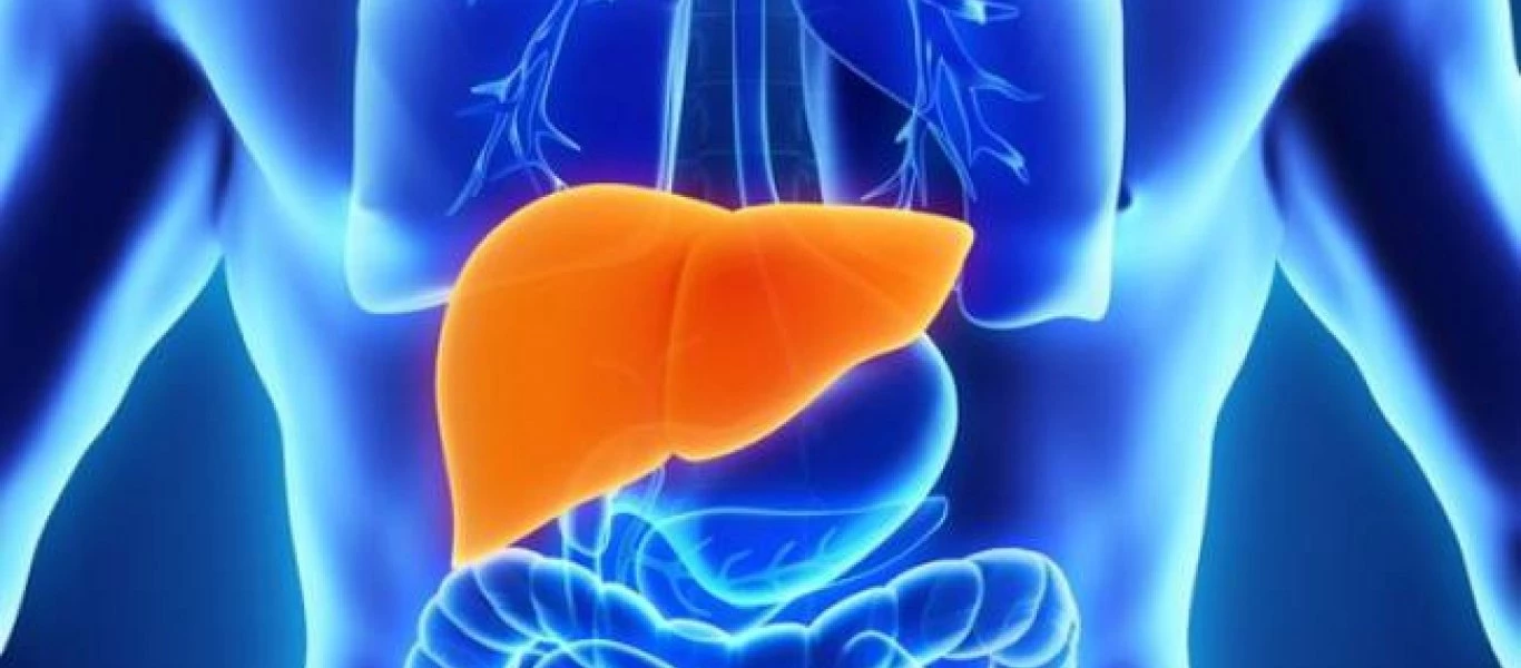 Λίπος στο συκώτι: Με αυτή την διατροφή θα μειώσετε στο μισό τον κίνδυνο